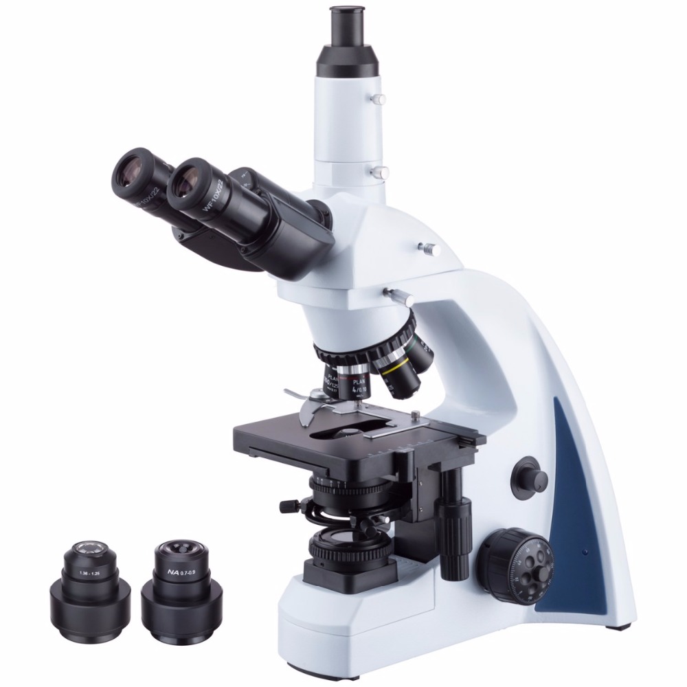 AmScope Infinity-corrected Dar - Amscope Microscope Compound 40X-1000X ulasan dan harga