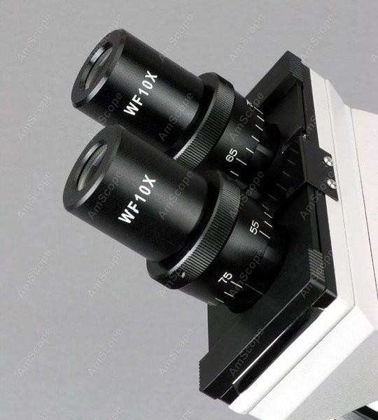 AmScope B100 Series Biological - Amscope Microscope Compound 40X-1000X ulasan dan harga