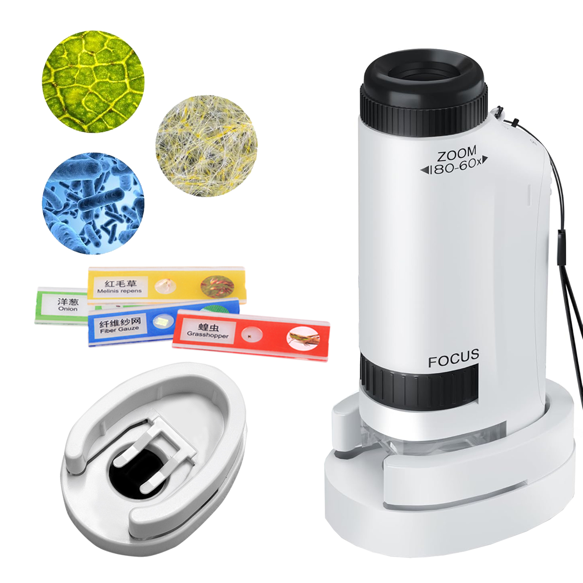 Mini Microscope Handheld Toys  - Science Max ulasan dan harga